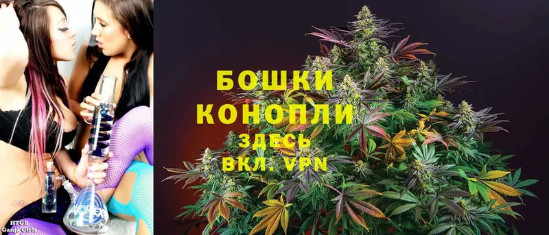 Шишки марихуана SATIVA & INDICA  хочу   Цоци-Юрт 